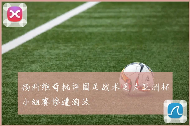 扬科维奇批评国足战术乏力亚洲杯小组赛惨遭淘汰