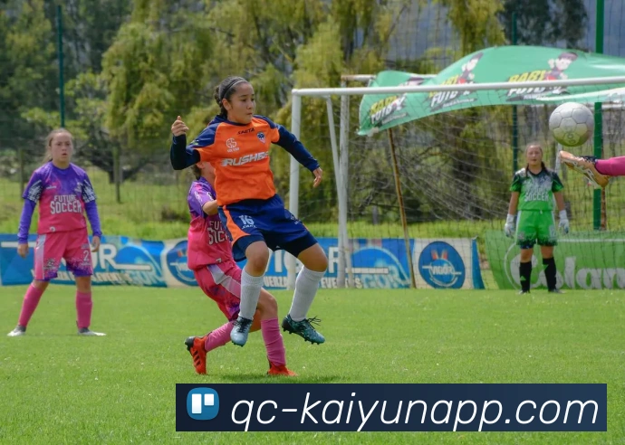 开云体育服务体系